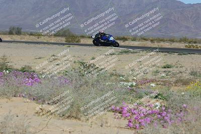 media/Feb-04-2023-SoCal Trackdays (Sat) [[8a776bf2c3]]/Turn 15 Inside Blooming (1050am)/